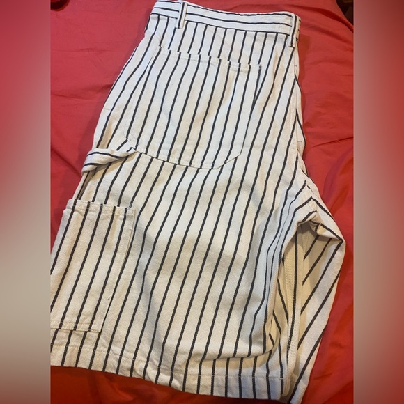 NWT denim shorts. Painter pant style. - Picture 2 of 5